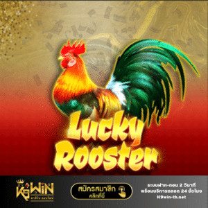 Lucky rooster